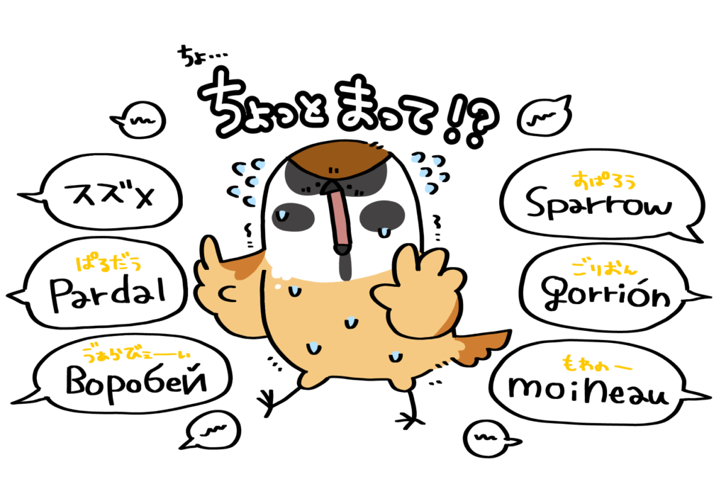 世界各国の名前 | トリまみれイラスト