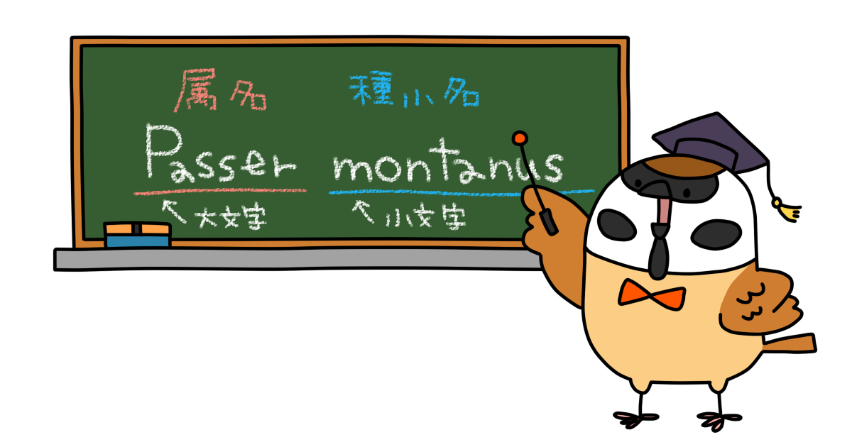 スズメ先生