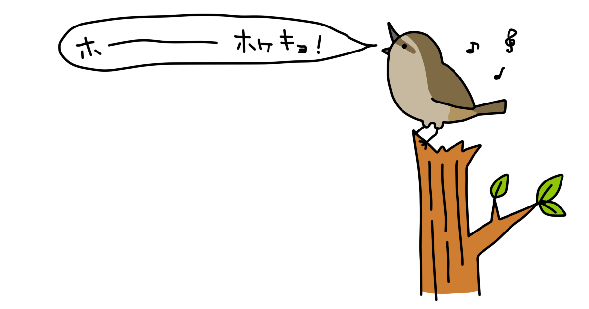 猛禽類 の他にも実はイロイロある 禽類 鳥たちの特徴でまとめる ザックリ分類カテゴリ とは コトリペストリ