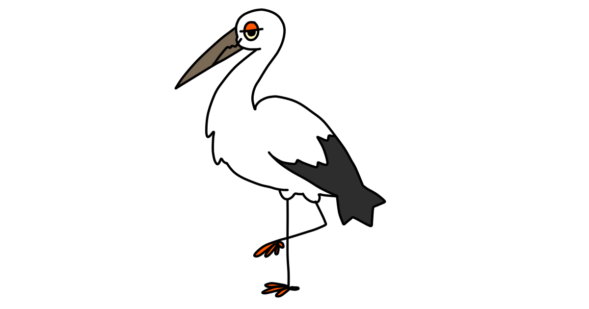 コウノトリ