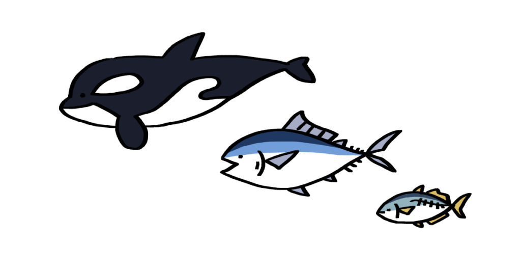 海の生き物