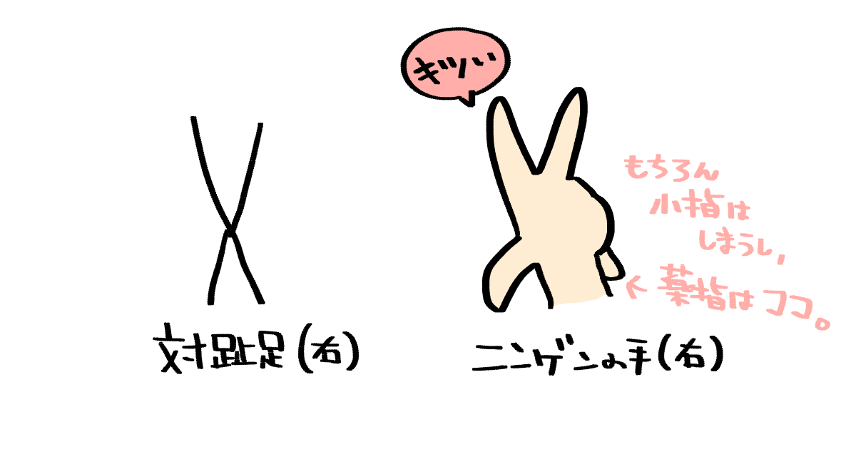 対趾足