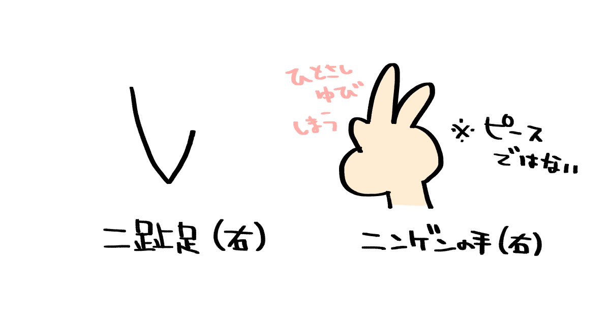 二趾足