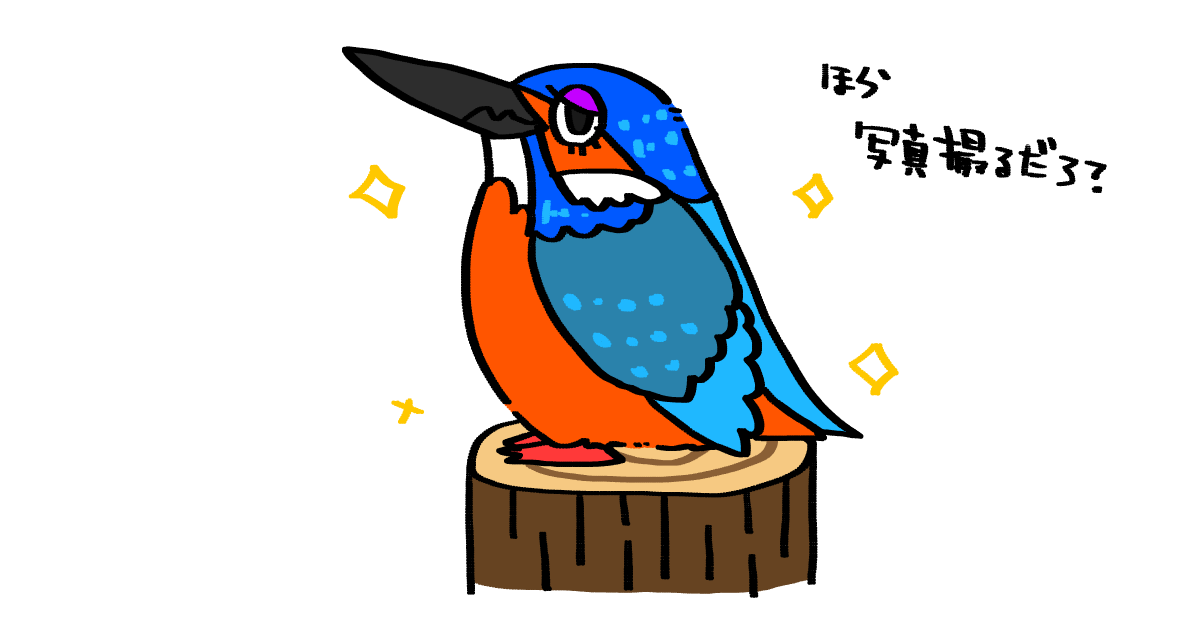 カワセミ