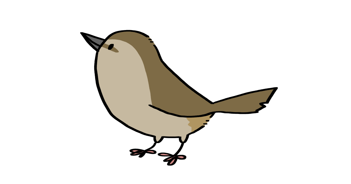 トリ好きなら憧れる 鳥の名前 漢字 が付く名字 できるだけ集めてみた コトリペストリ