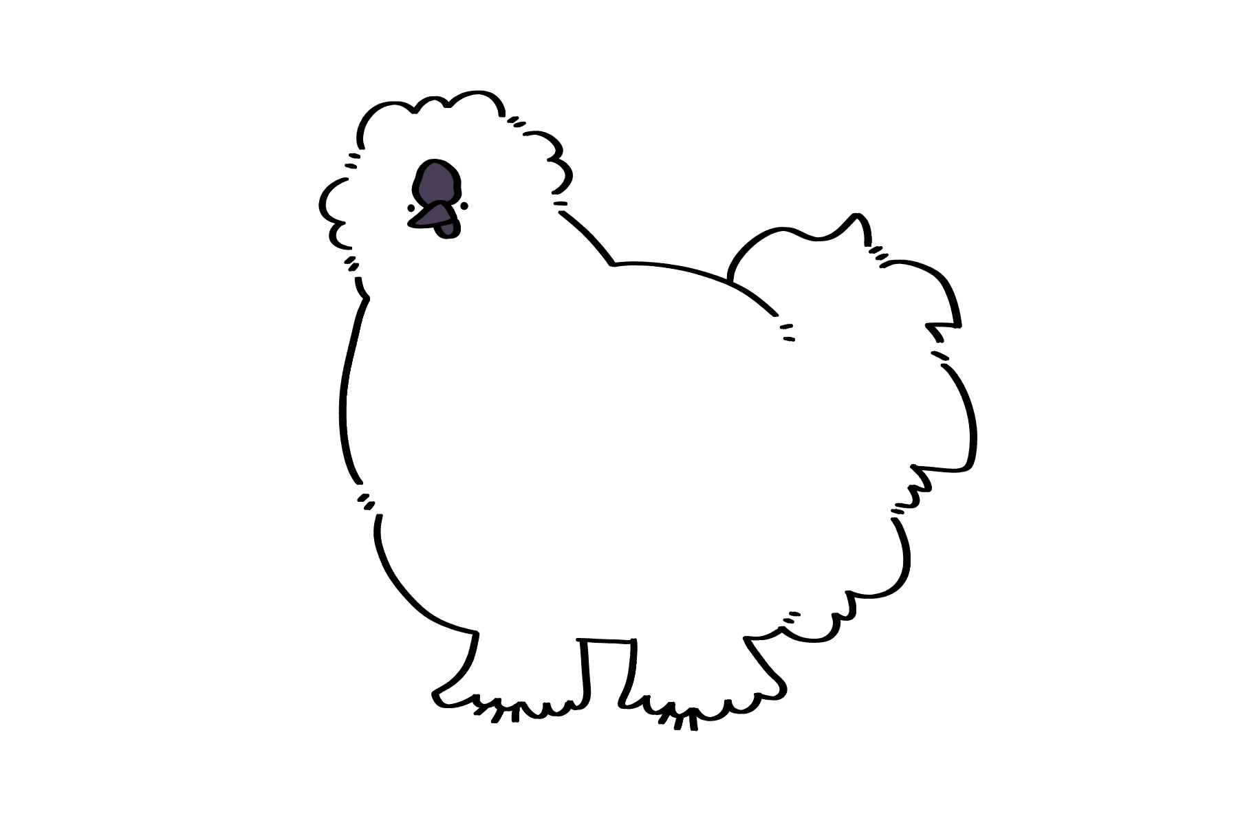 ウコッケイさん | トリまみれイラスト