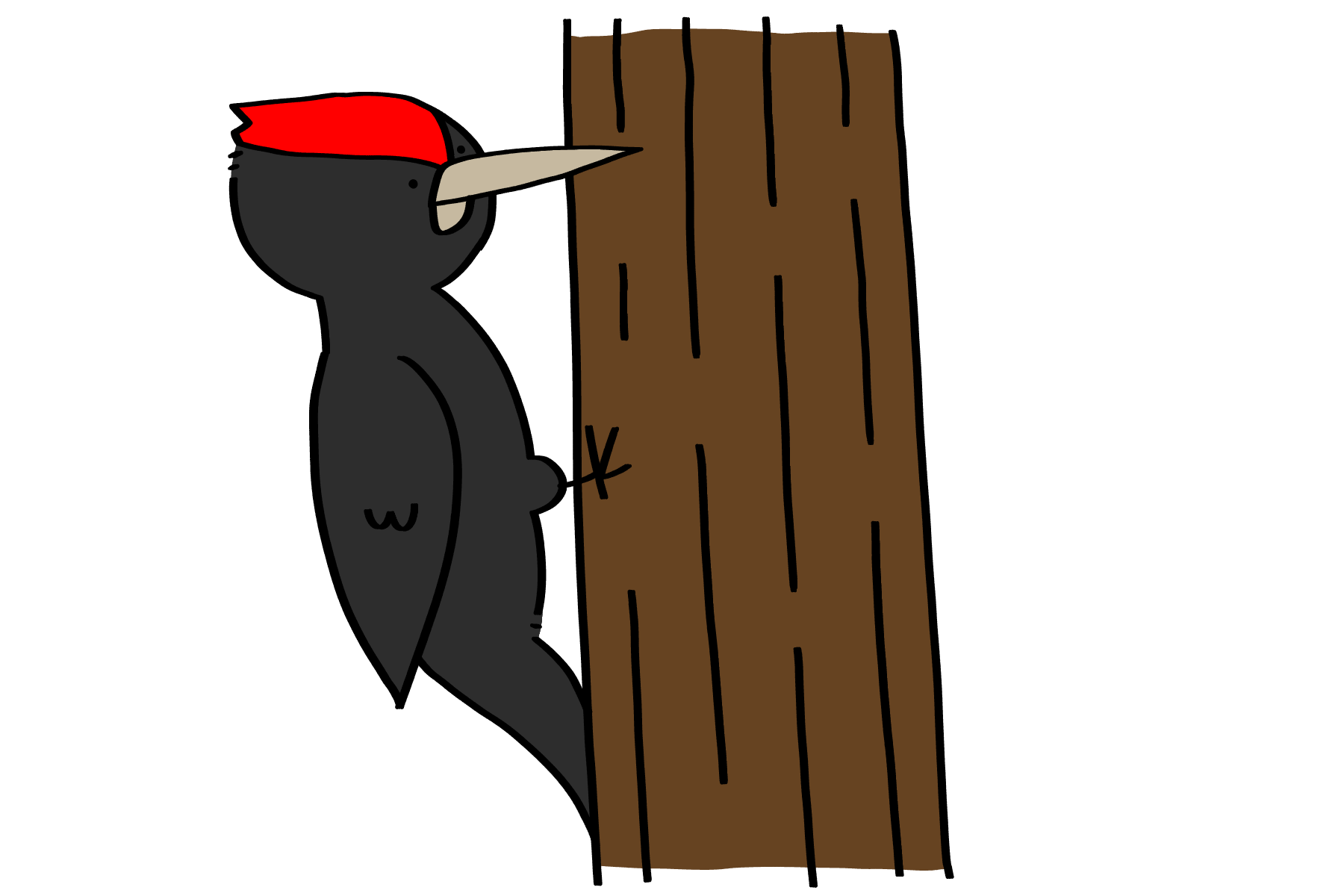 クマゲラさん | トリまみれイラスト