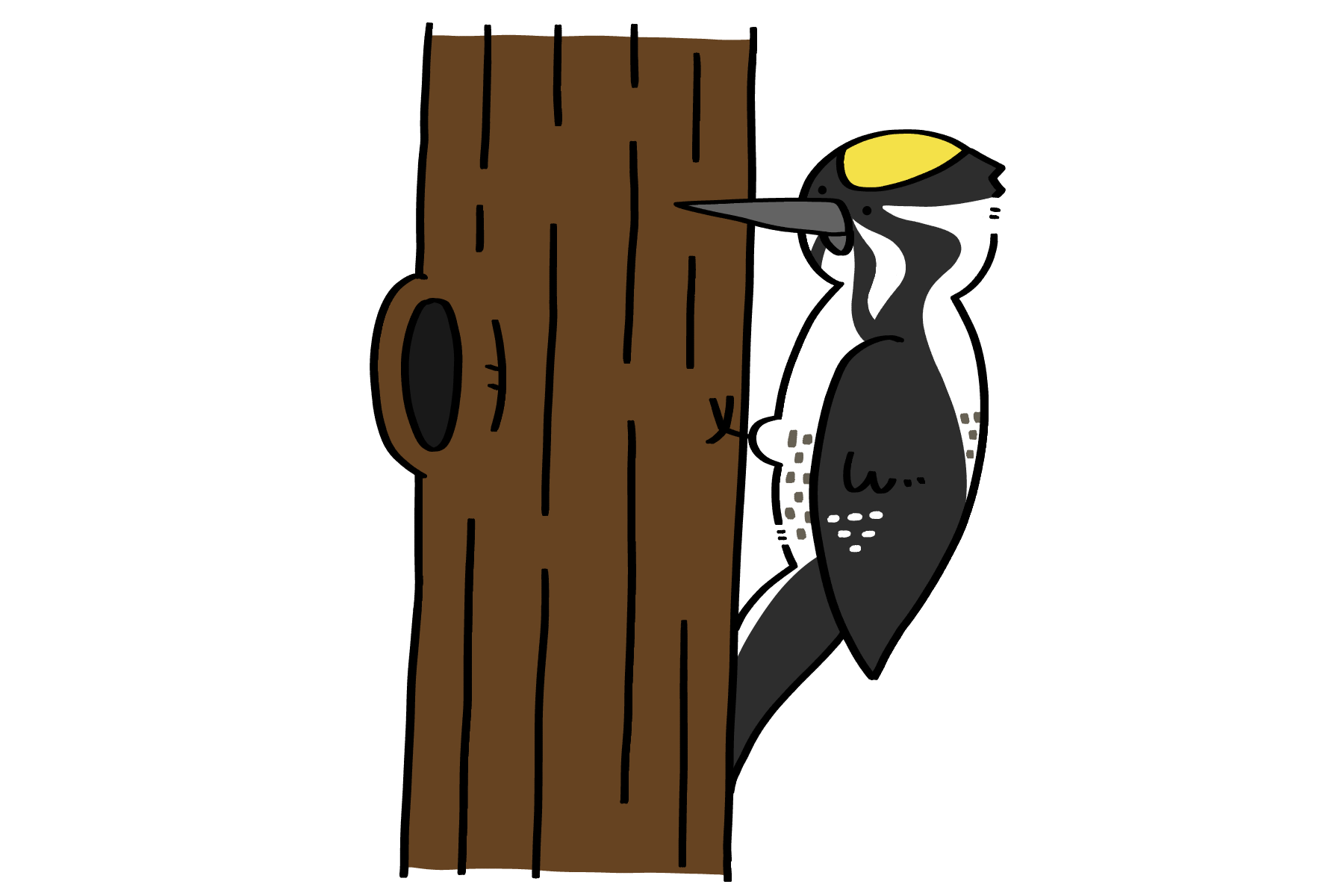 ミユビゲラさん | トリまみれイラスト