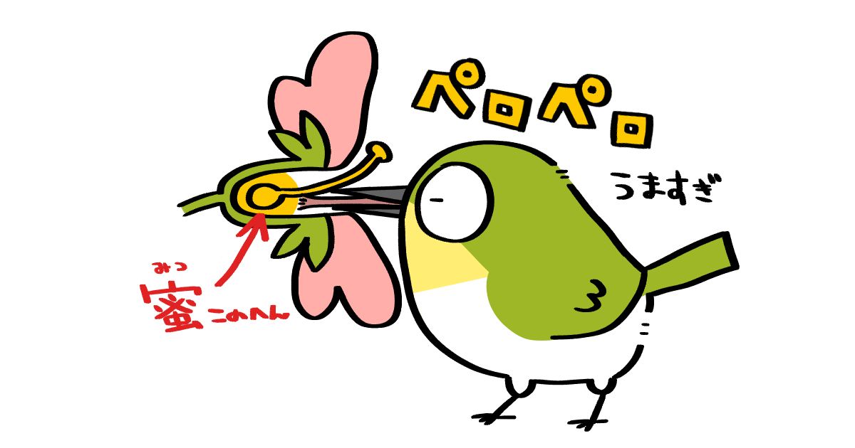 花の蜜が大好き 甘党な鳥たちの蜜の吸い方と便利な体の仕組みを大公開 メジロ ヒヨドリ スズメ コトリペストリ
