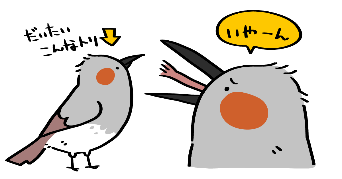 ヒヨドリさん
