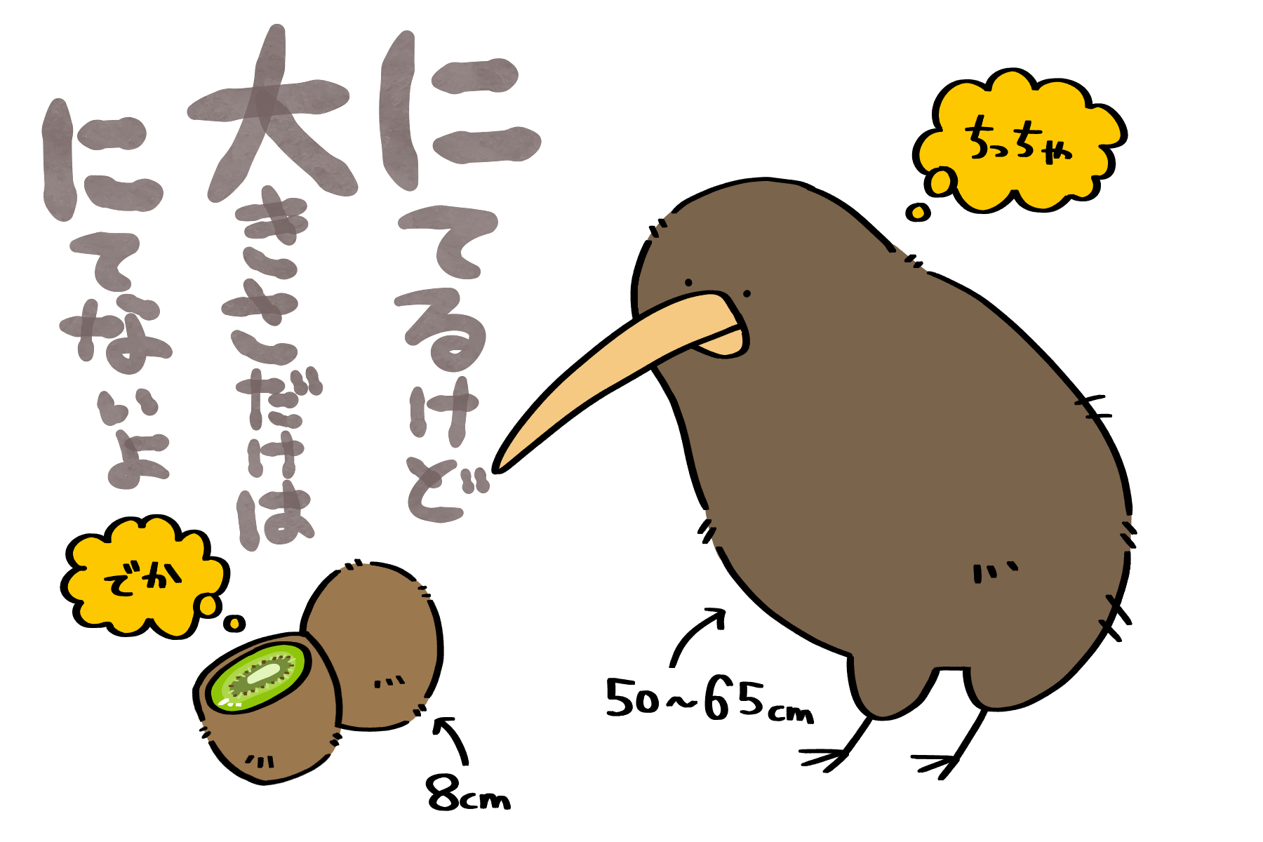似てるけど実は大きさが全然違うキーウィさんとキウイ | トリまみれイラスト