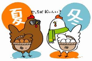 たまごの旬は夏？冬？ | トリまみれイラスト