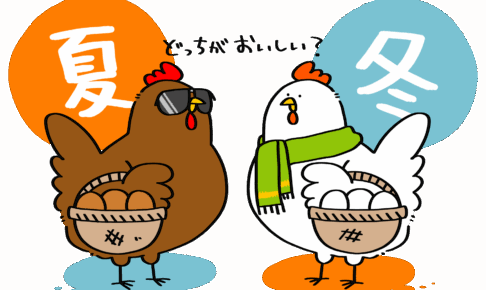 たまごの旬は夏？冬？ | トリまみれイラスト