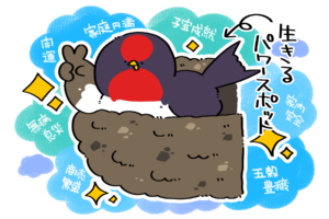 ツバメが巣をつくる家には幸運が訪れるんだって | トリまみれイラスト