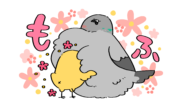 ハトさんの鳩胸に埋もれるヒヨコさん | トリまみれイラスト